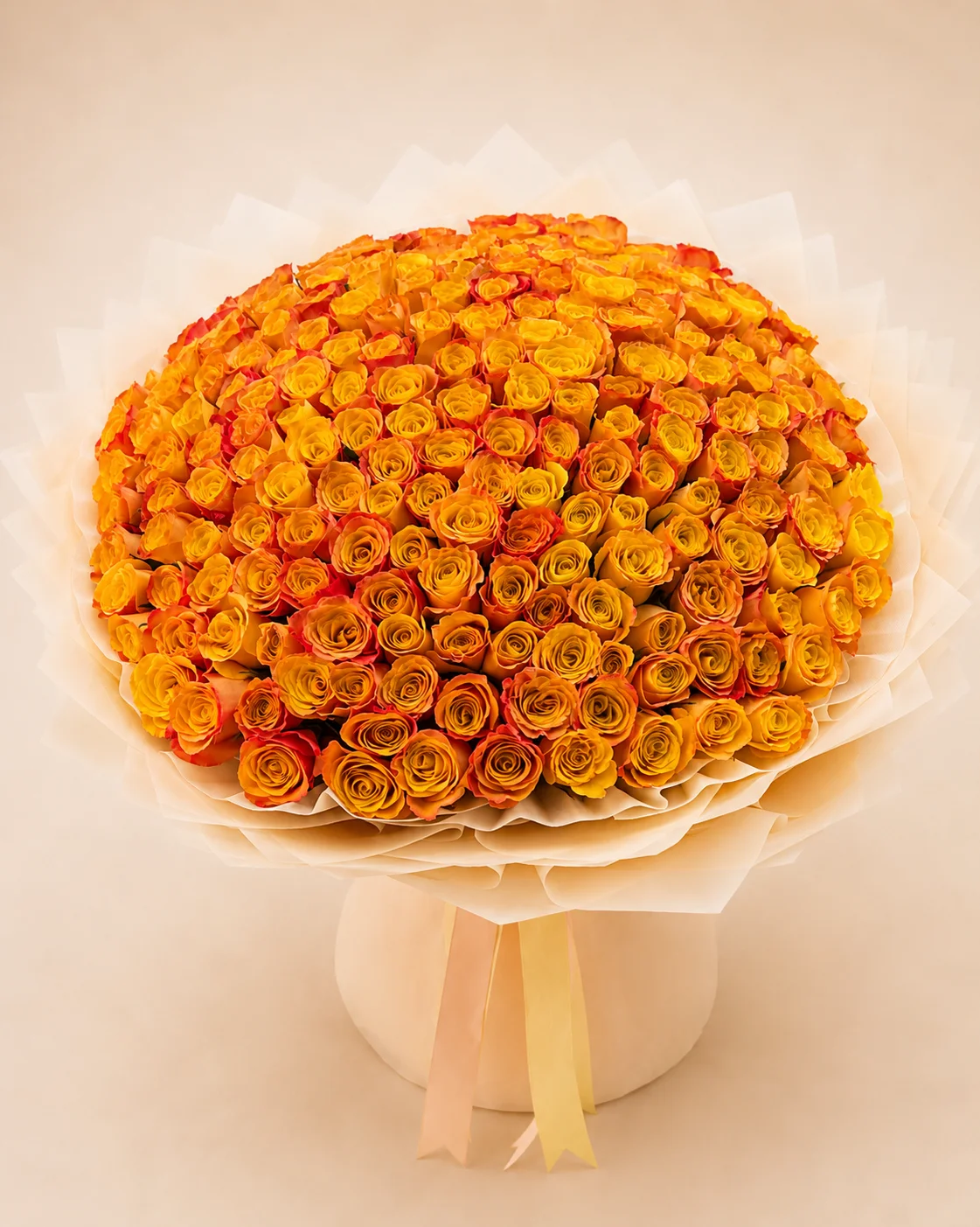 Orange Roses