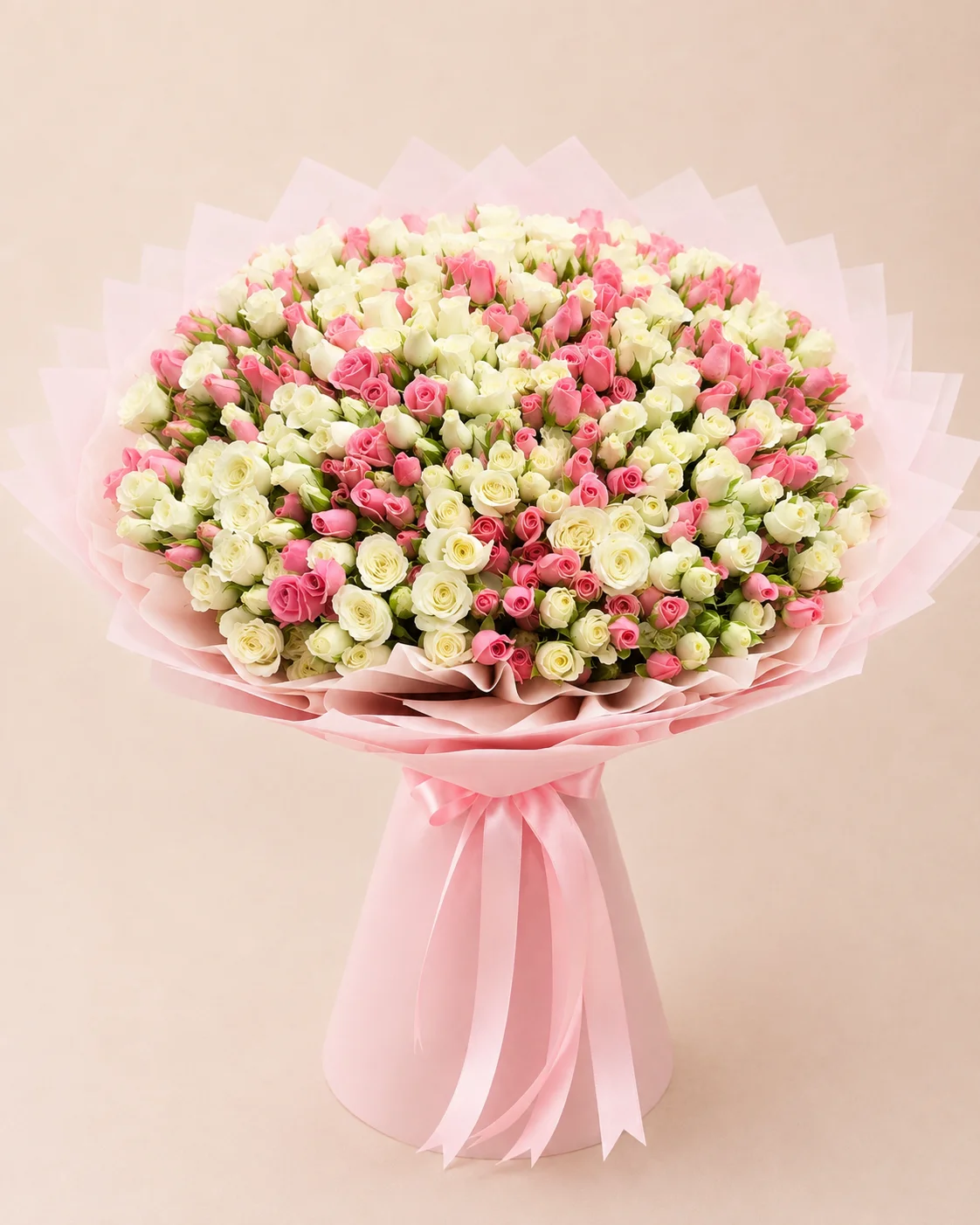 Rainbow Rose Celebration