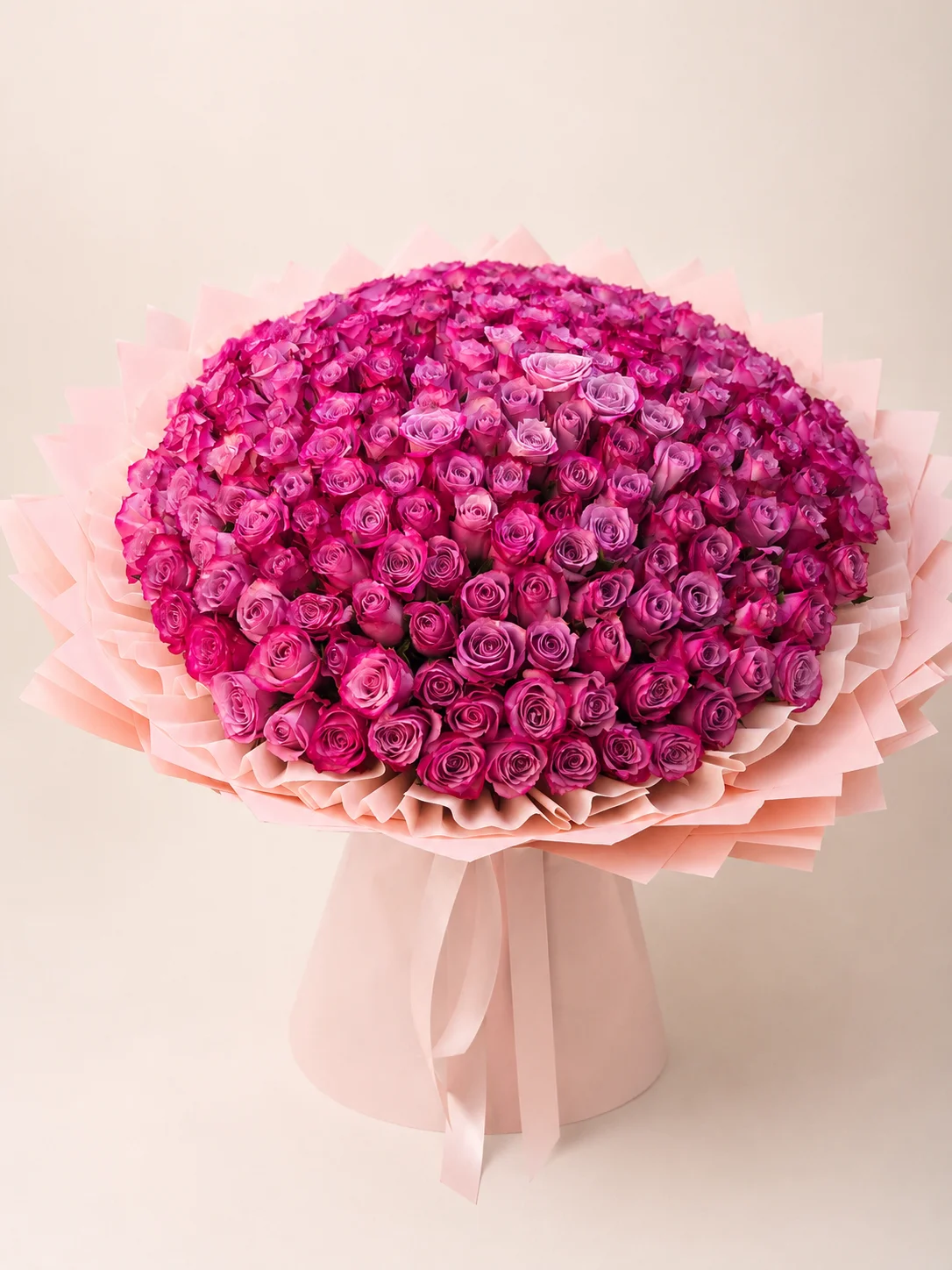Classic Pink Roses