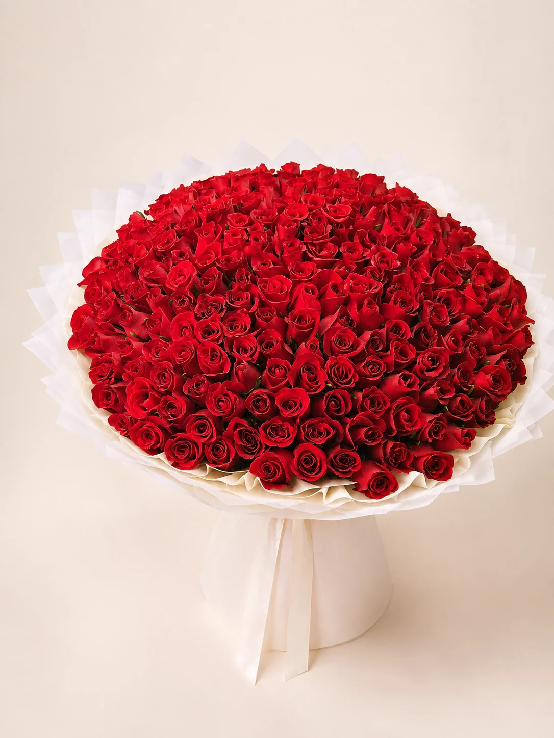 Classic Red Rose