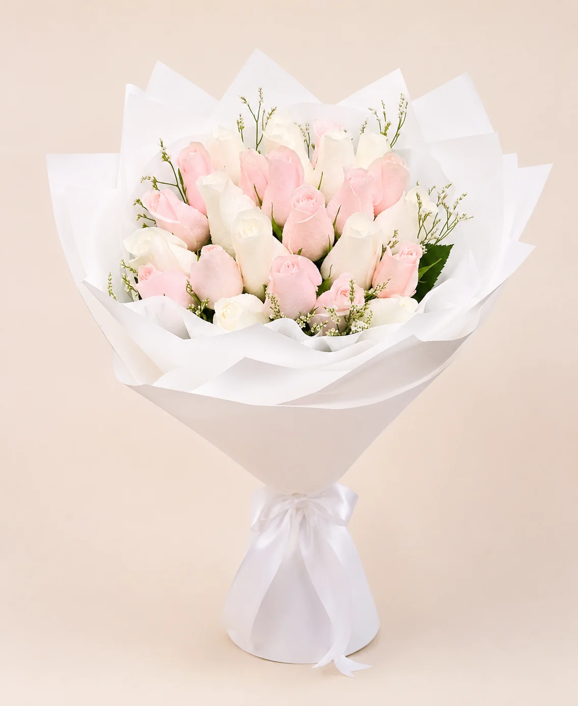 Blush Pink Rose