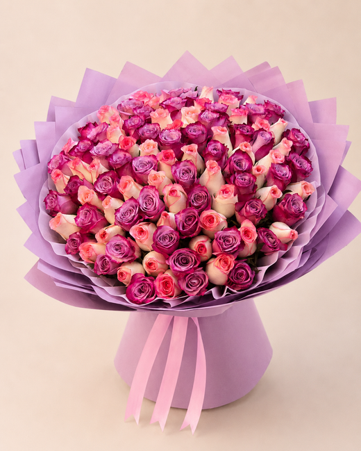 Jumaliya + Purple 