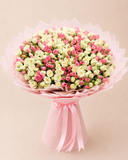 Rainbow Rose Celebration