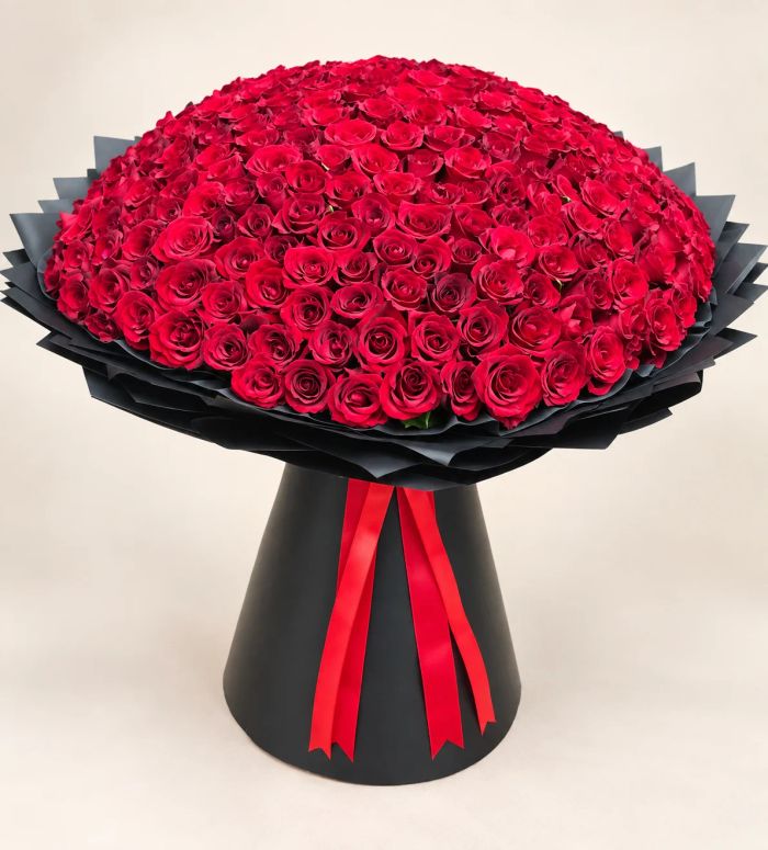 301 Roses