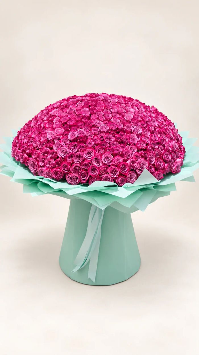 501 Roses