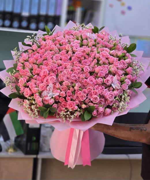 Premium Pink Rose