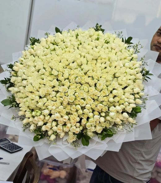 White Rose
