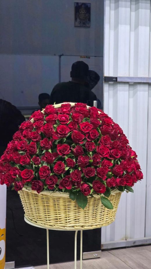 Deep Red Rose