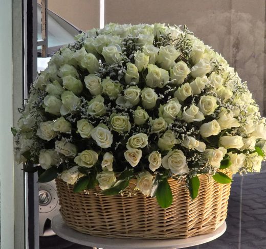 Cream White Rose