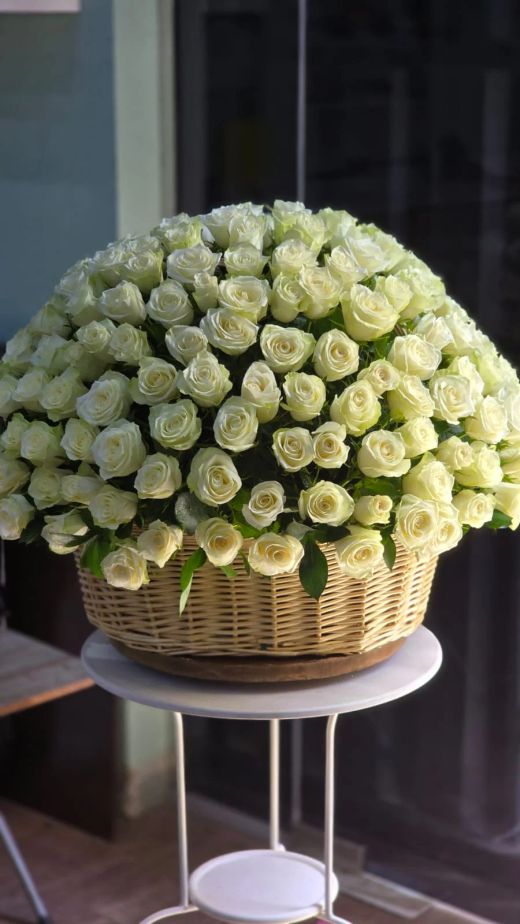 Pale Green Rose