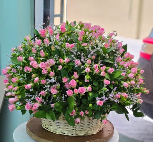 Pink Spray Rose