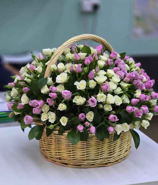 Pink & Cream Spray Rose