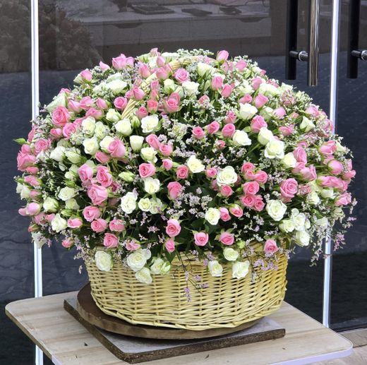 Pink & White Spray