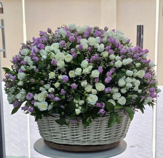 Lavender & White