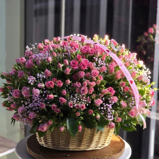 Pink Spray Rose