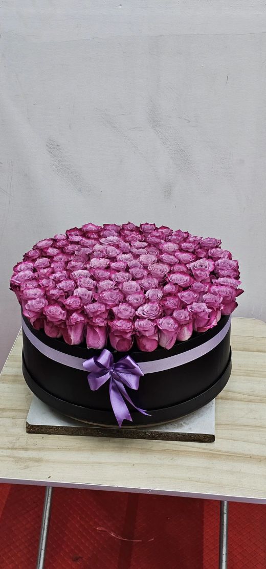 Purple Roses