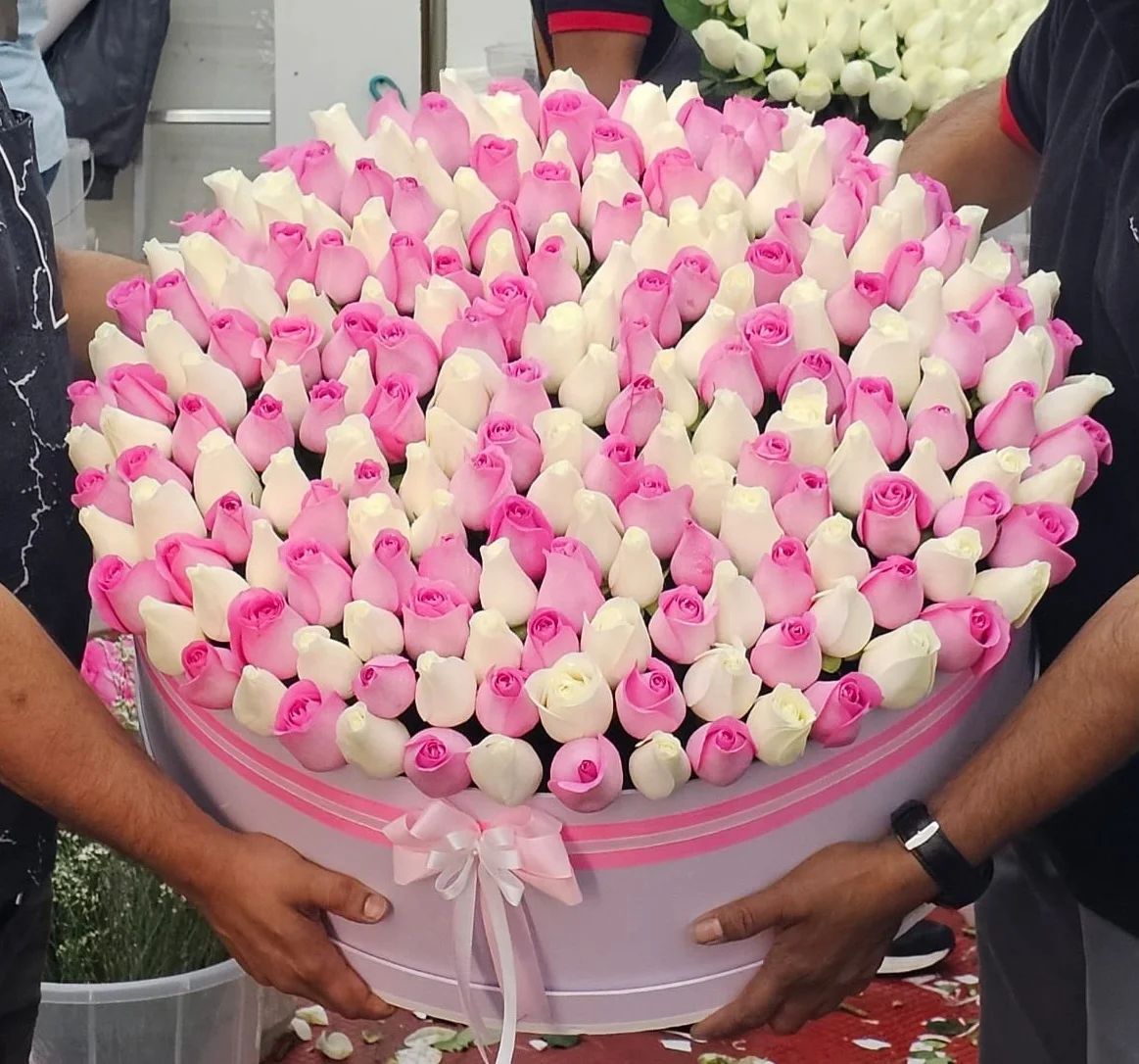 A romantic combination of soft pink and white roses beautifully arranged in a luxury box.