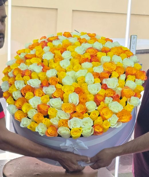 Yellow, Orange & White Roses