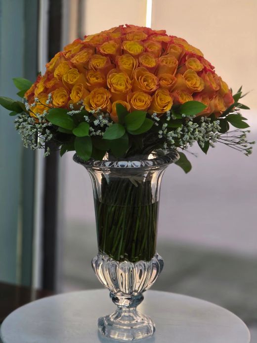 Orange Dark